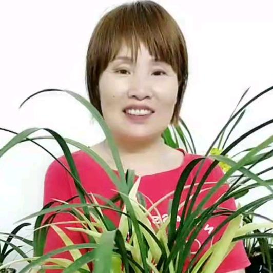 富茂科苗场