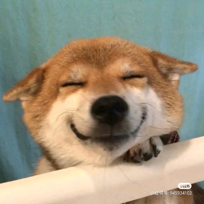 ╭☞一路向阳