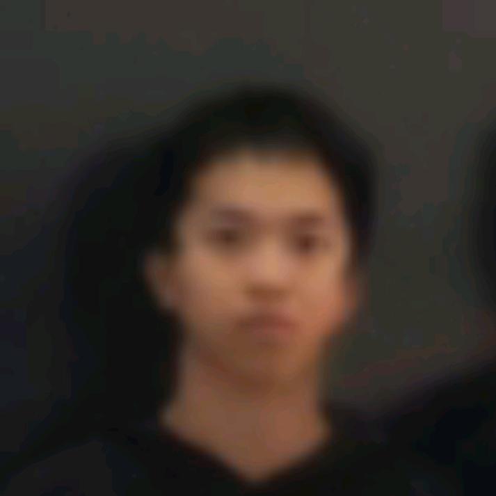 灰灰菜
