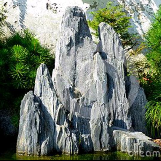 🇨🇳花开富贵🇨🇳