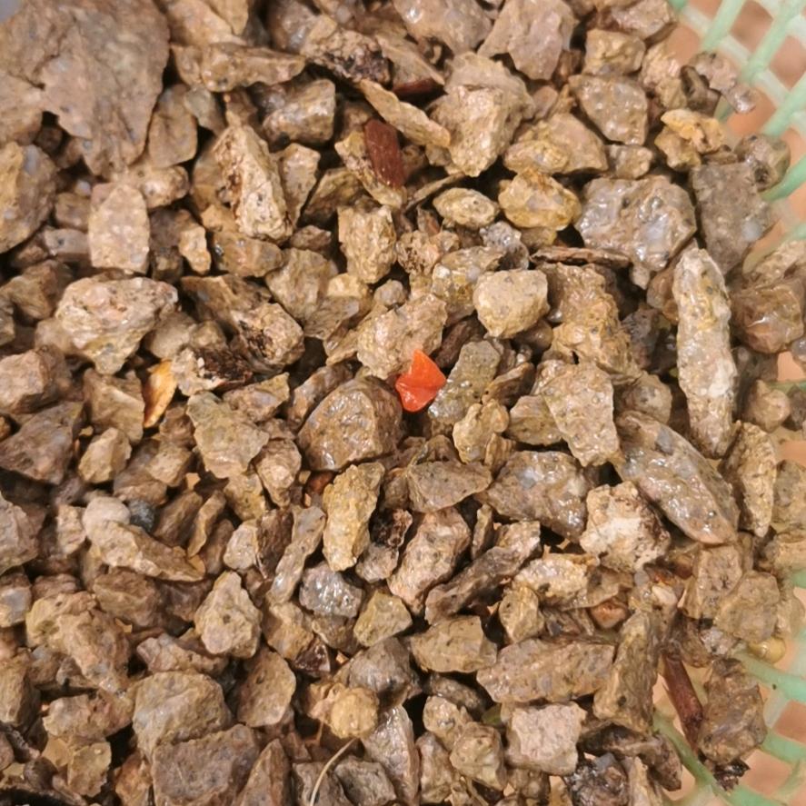 এ᭄我姓ꦿ张💔别嚣张ོ࿐ᩚ