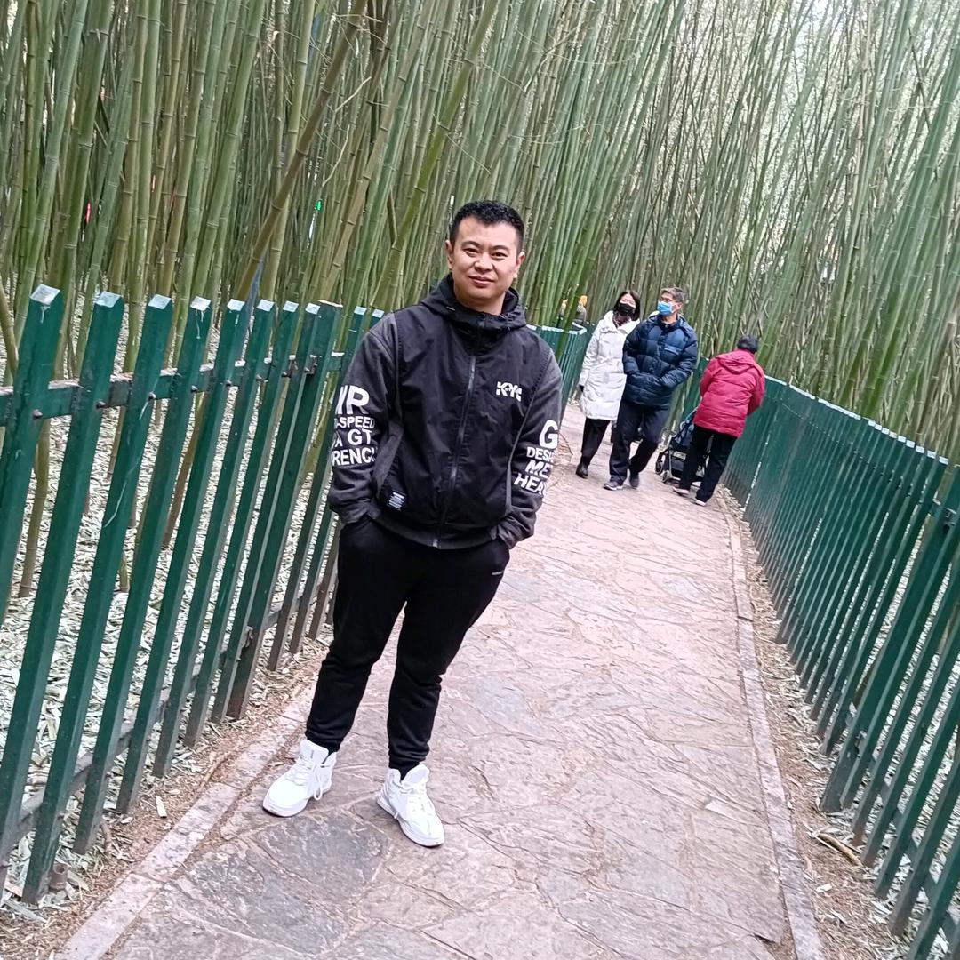 属我最旺