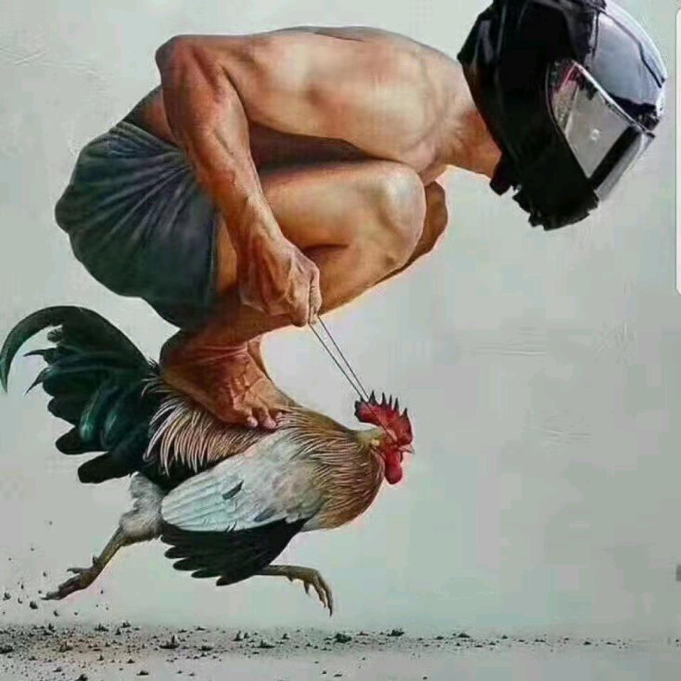 潇洒无敌