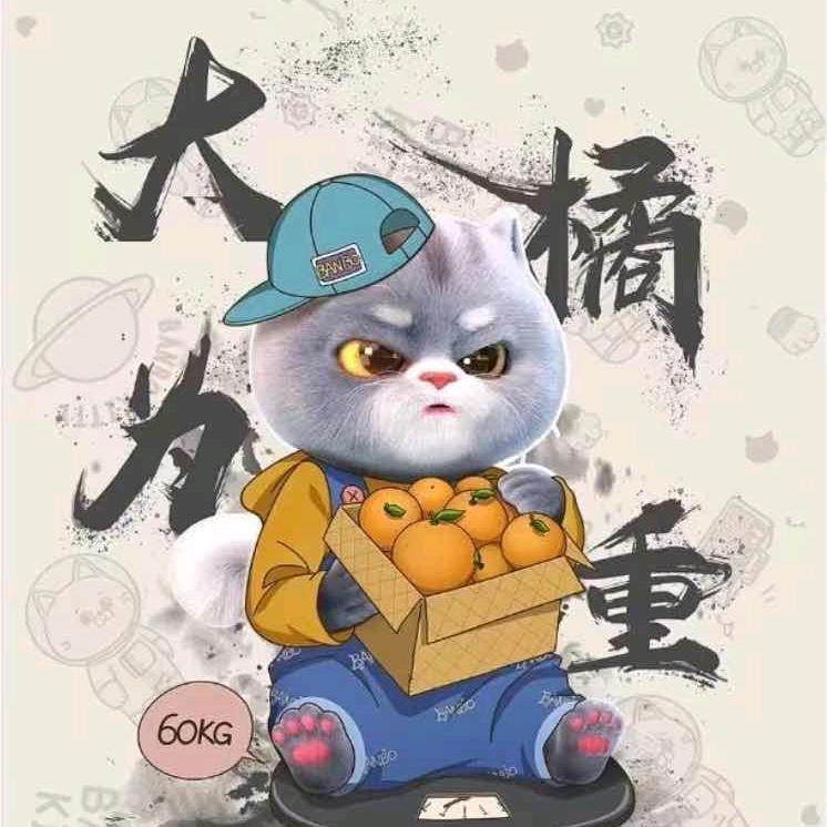 记性不太好14