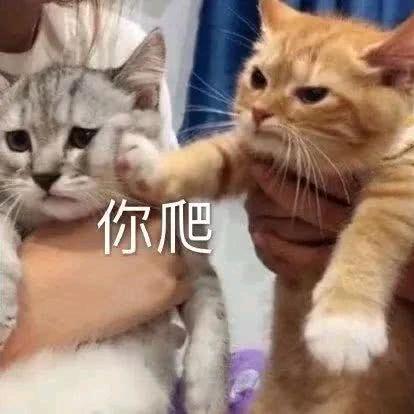 悠米是狮子