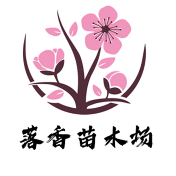 落香苗木
