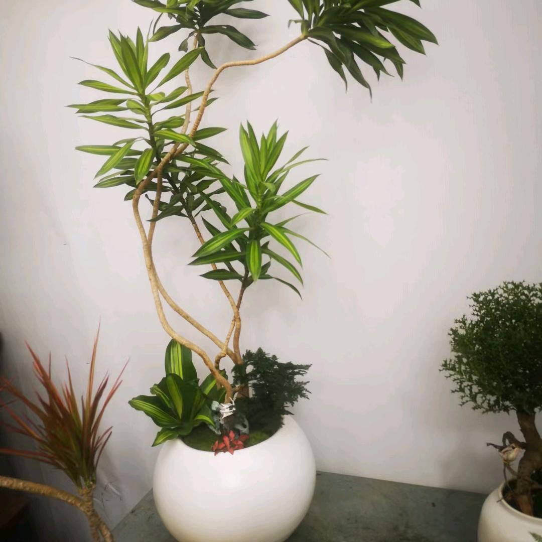一间花坊（鲜花店）