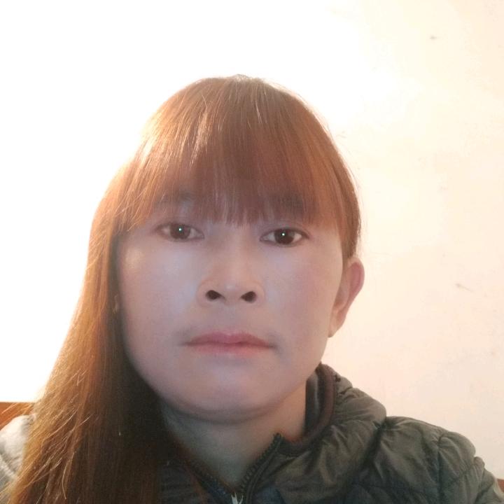花已落