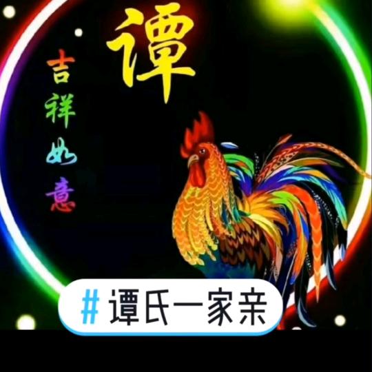 谭哥🫖橱窗好物