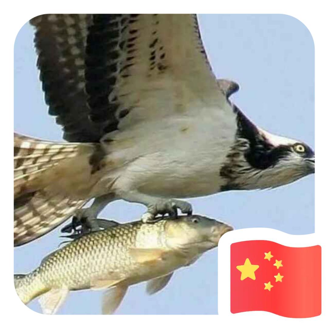 怀念一起模爬滚打的日子