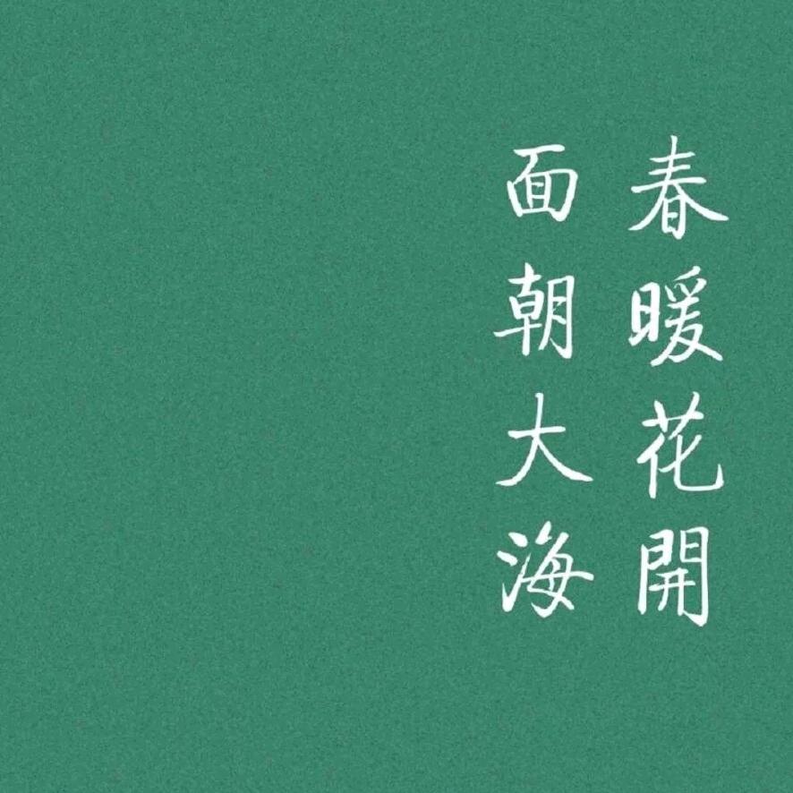 凯凯