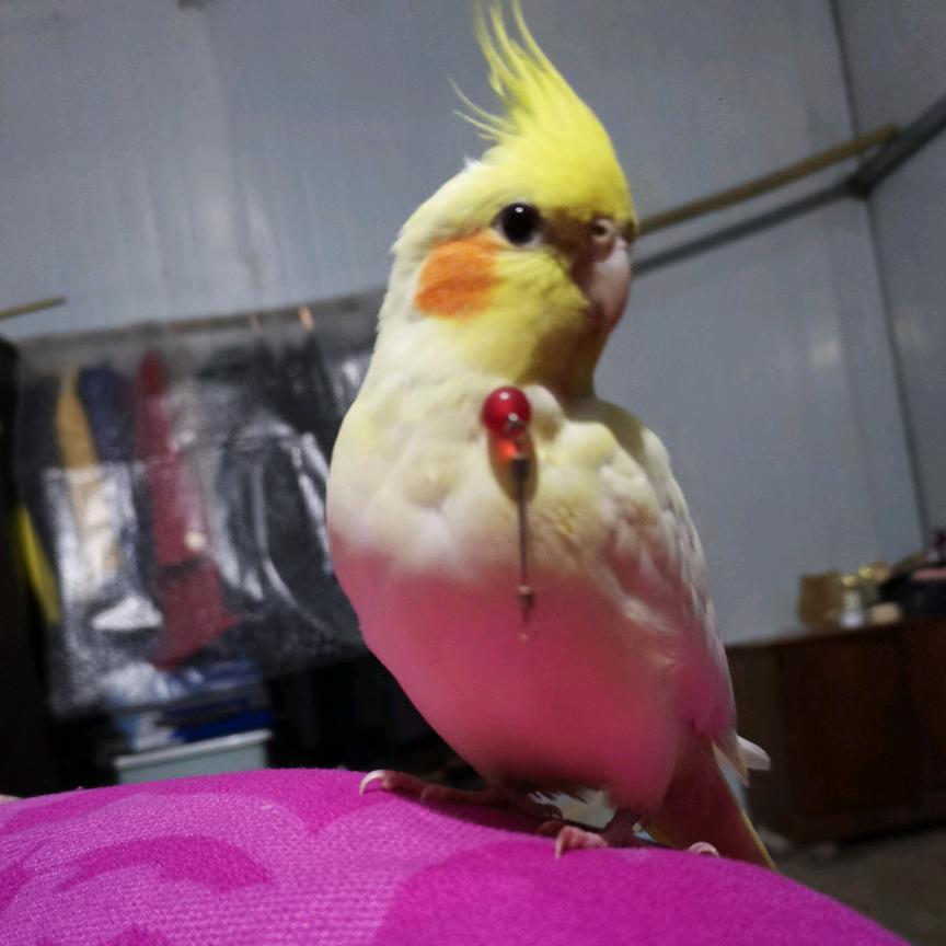 糊涂过好后半生