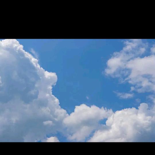 王二虎