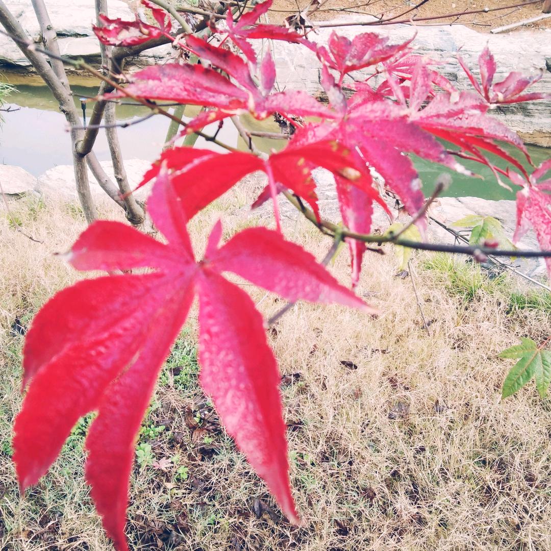 钱伟松