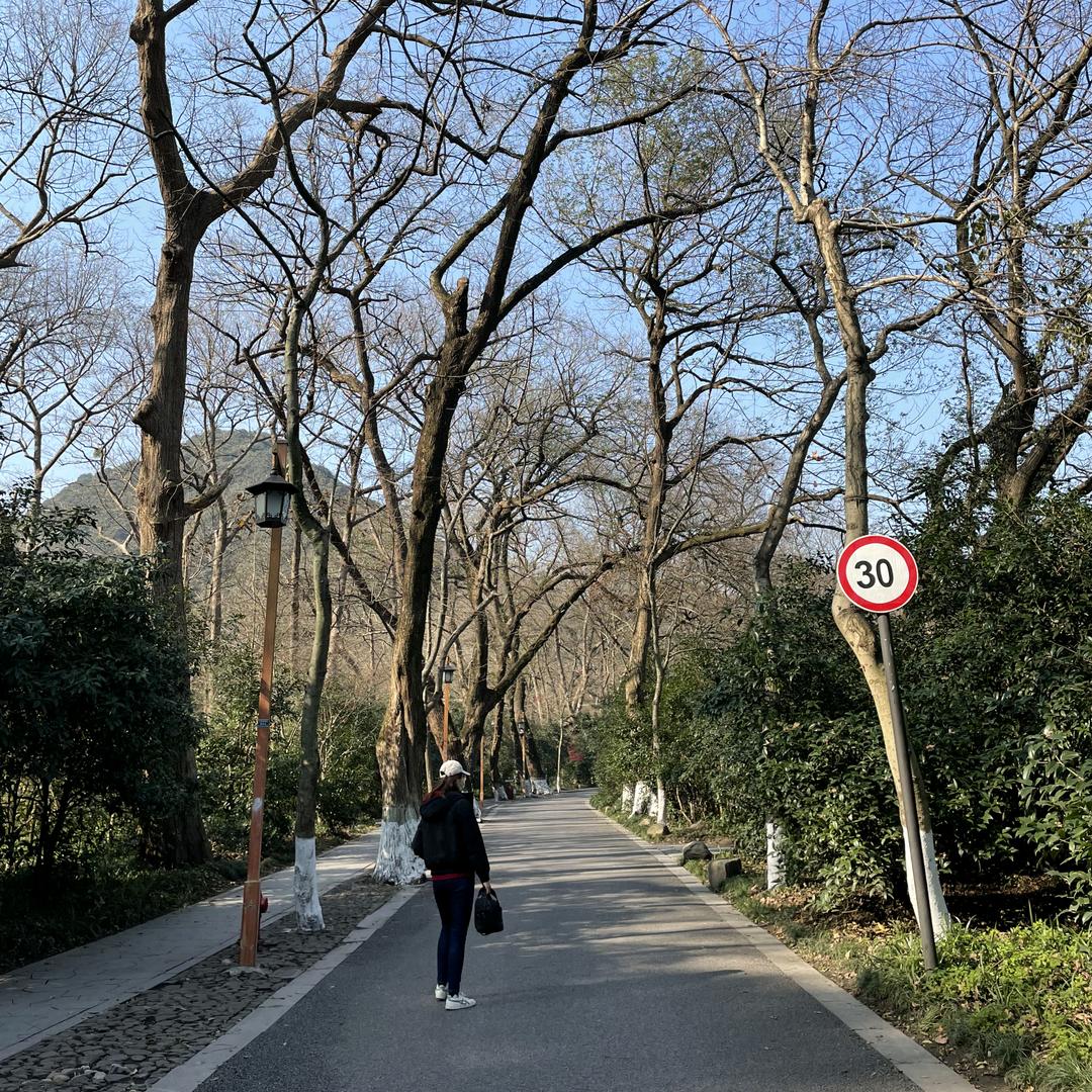 爱吃柚子的大脸妹