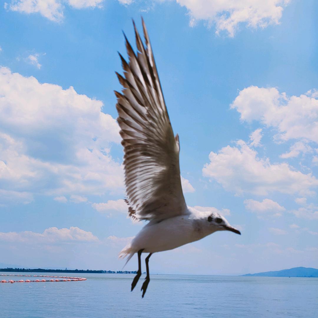 湖南凡夫废旧物资回收