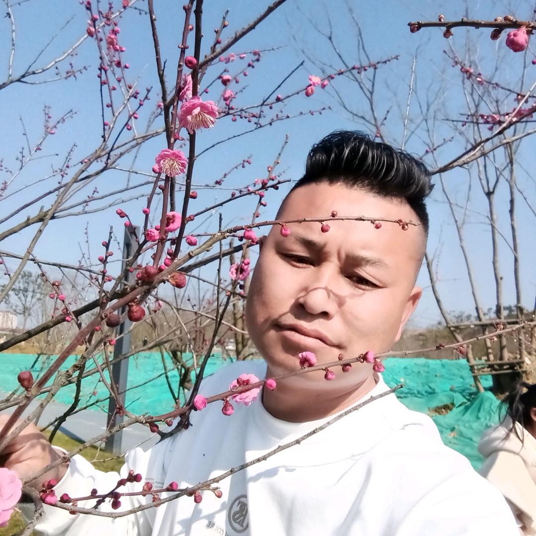 雪花飘飘