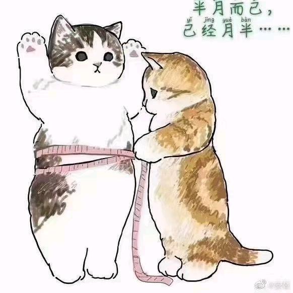 满满家的猫（西华喵屋猫舍）