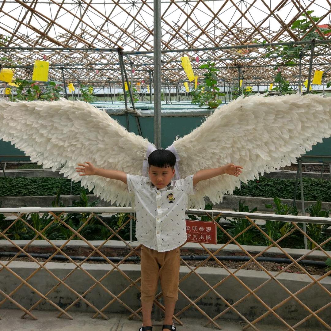 桃源饭店（北滘桃源大道店）