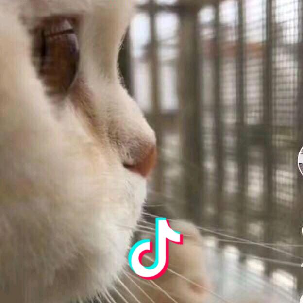 太史慈