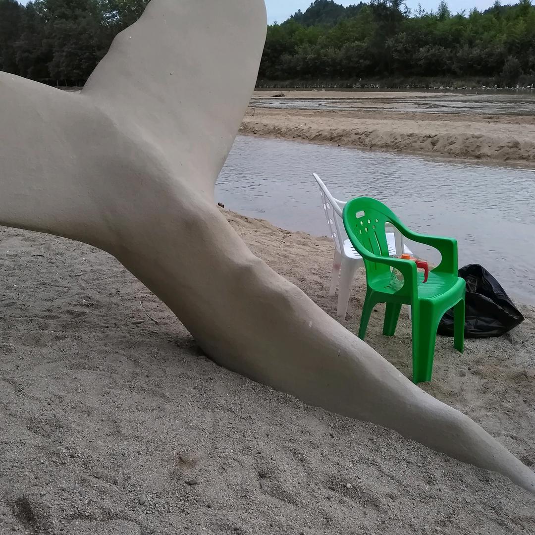 我是一个无人知到的小草