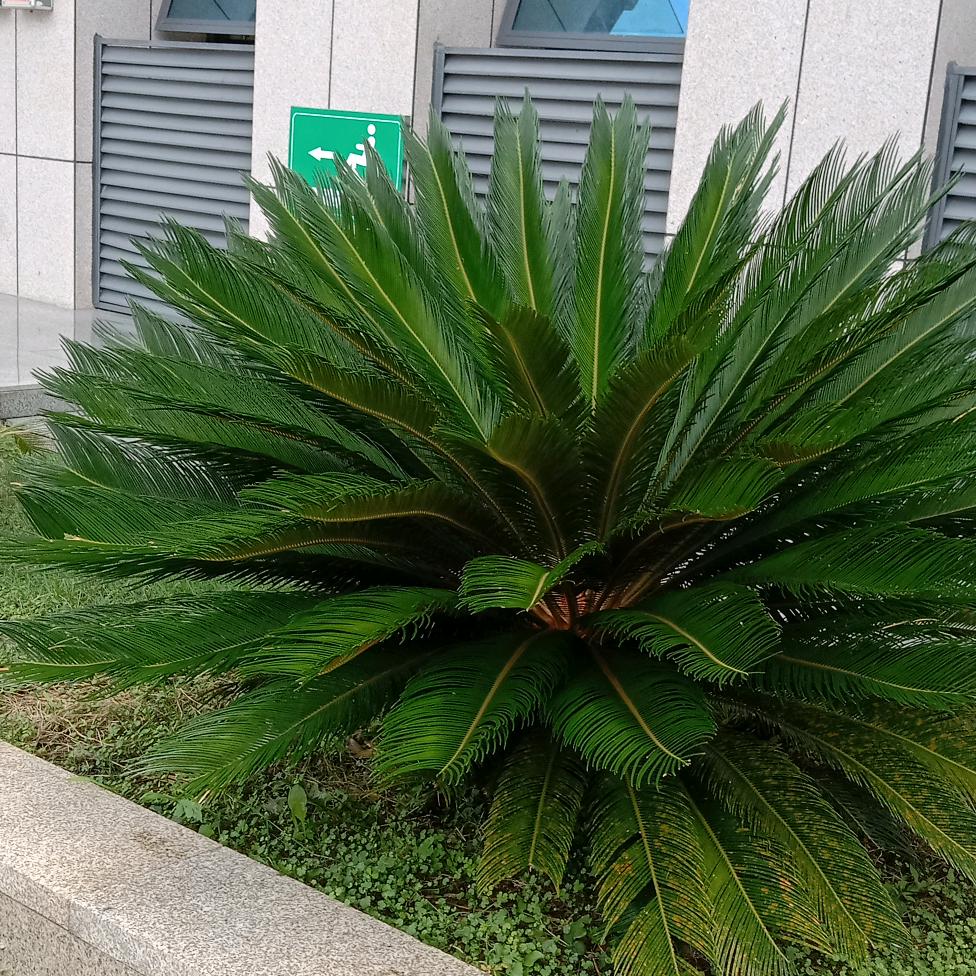 时光吹人老