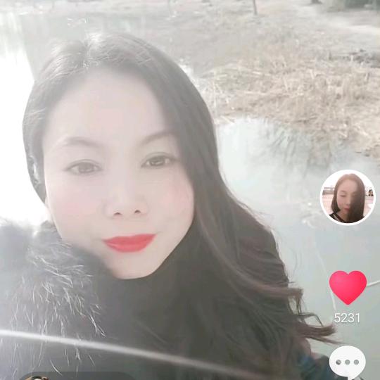 河南燕子
