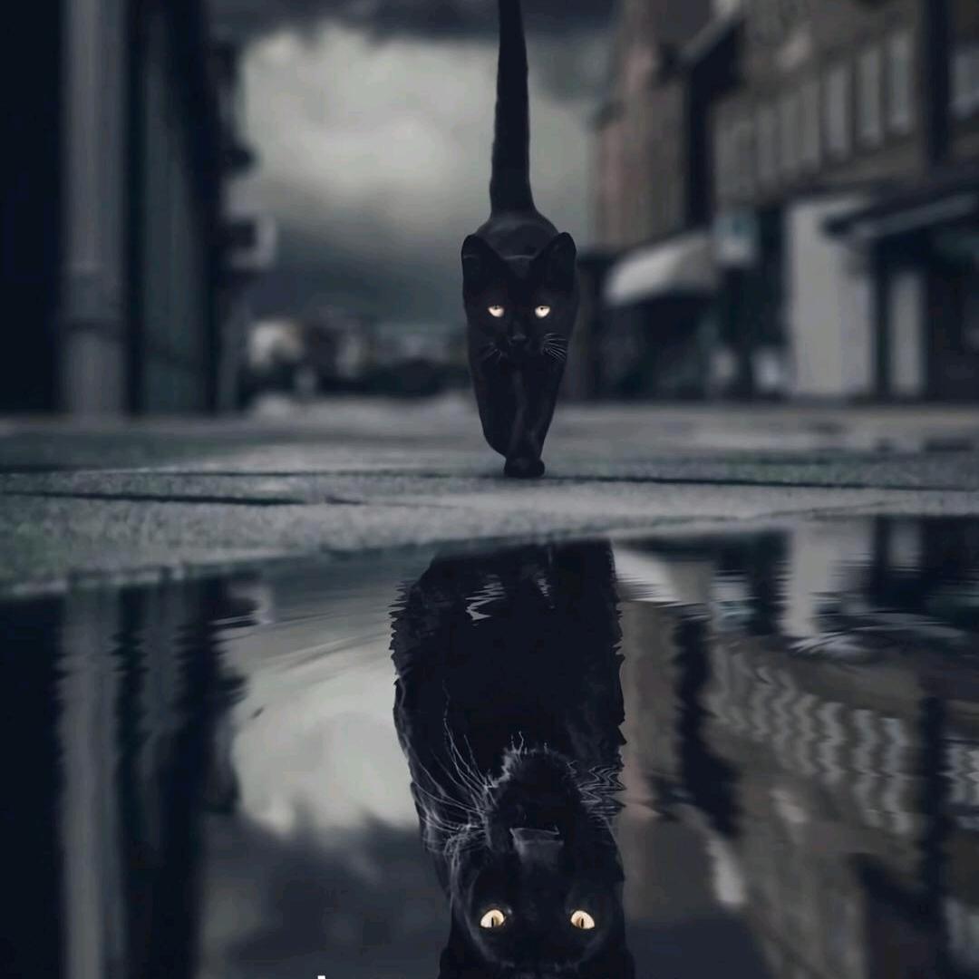 从小放猪，就是逼出。