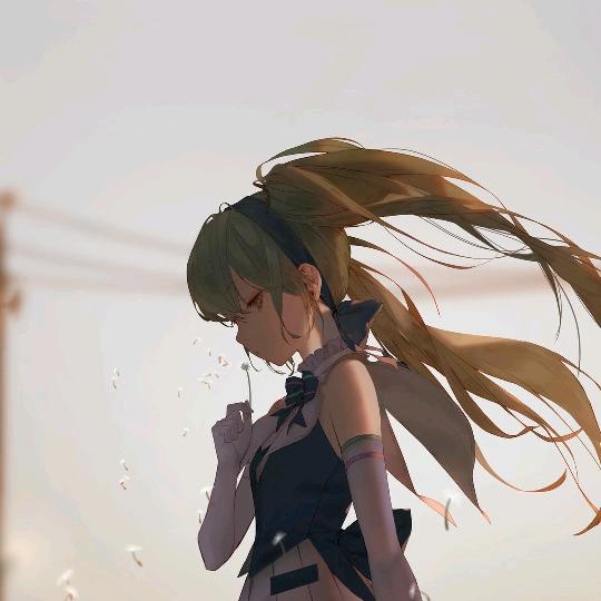 猫-猫