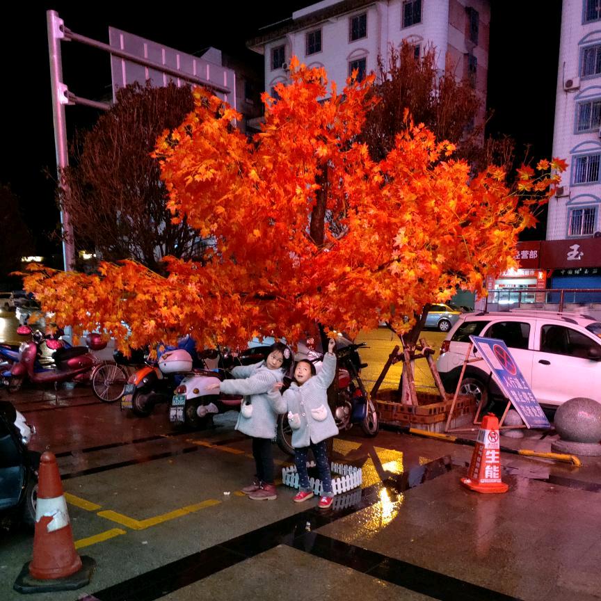 抓钱机