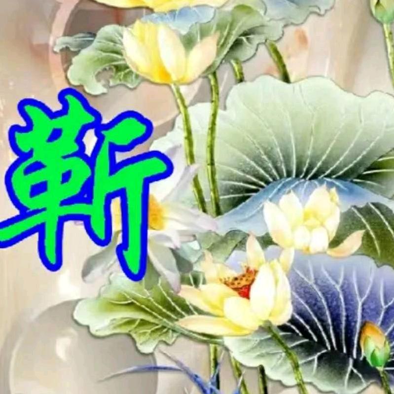 用户2344623237372