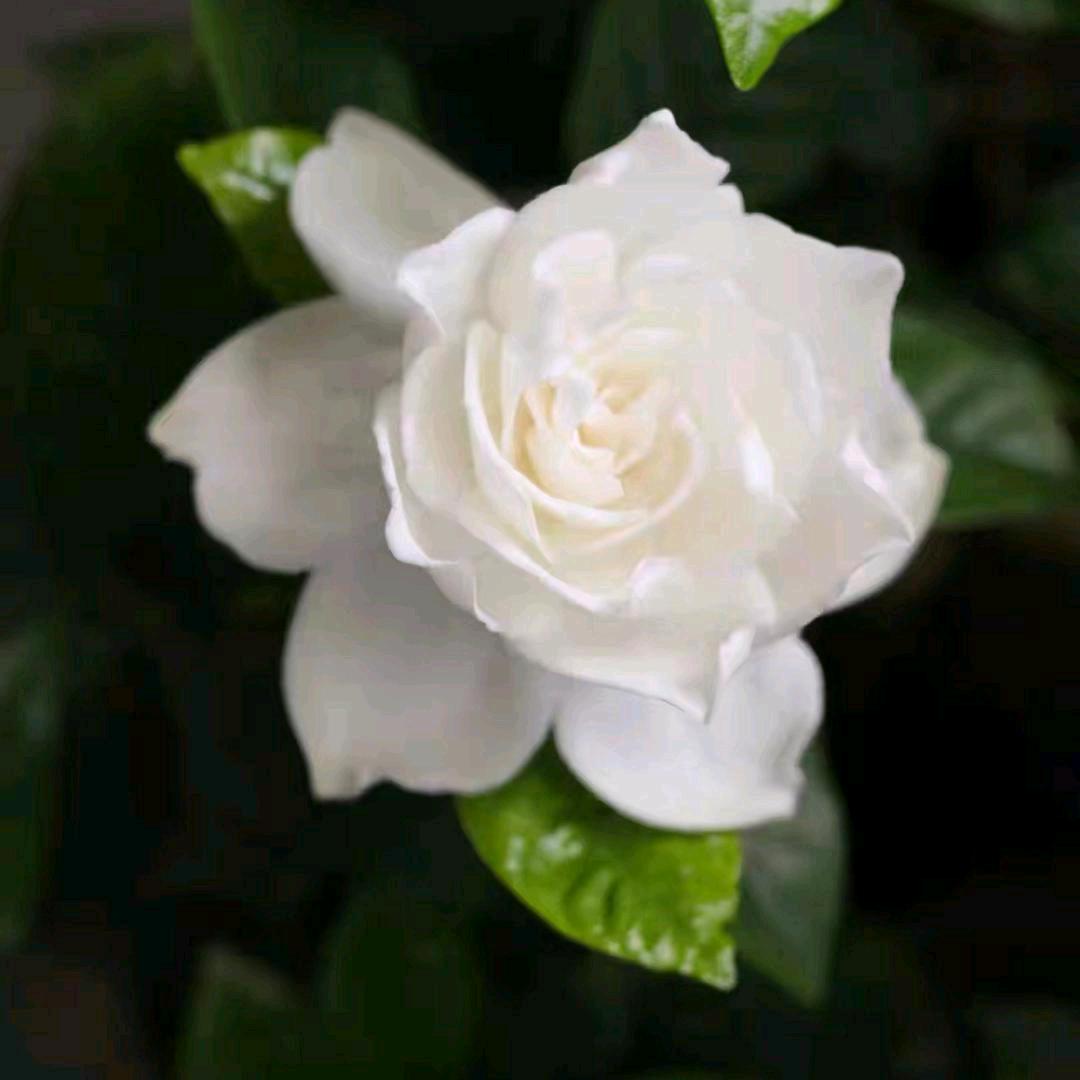 欣慰《拒绝私聊》