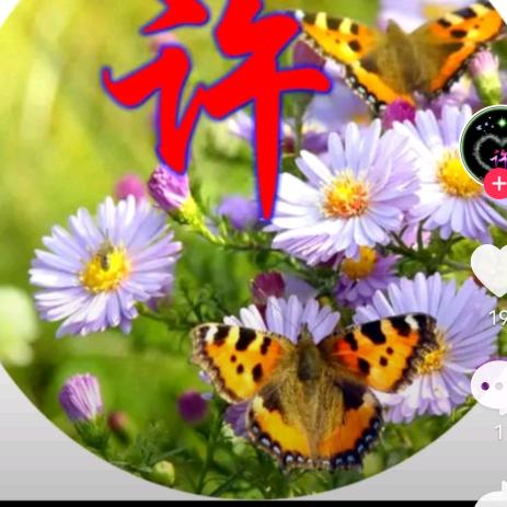 今生有缘走一起