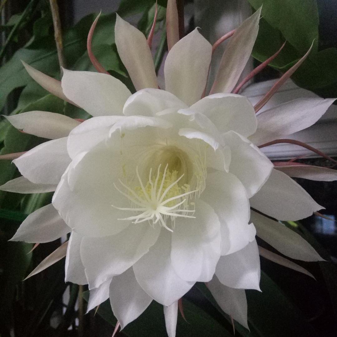 岁月静好-