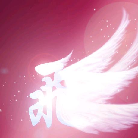 聶飛