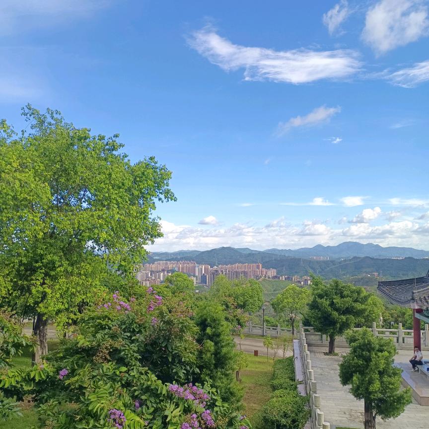 严小施主
