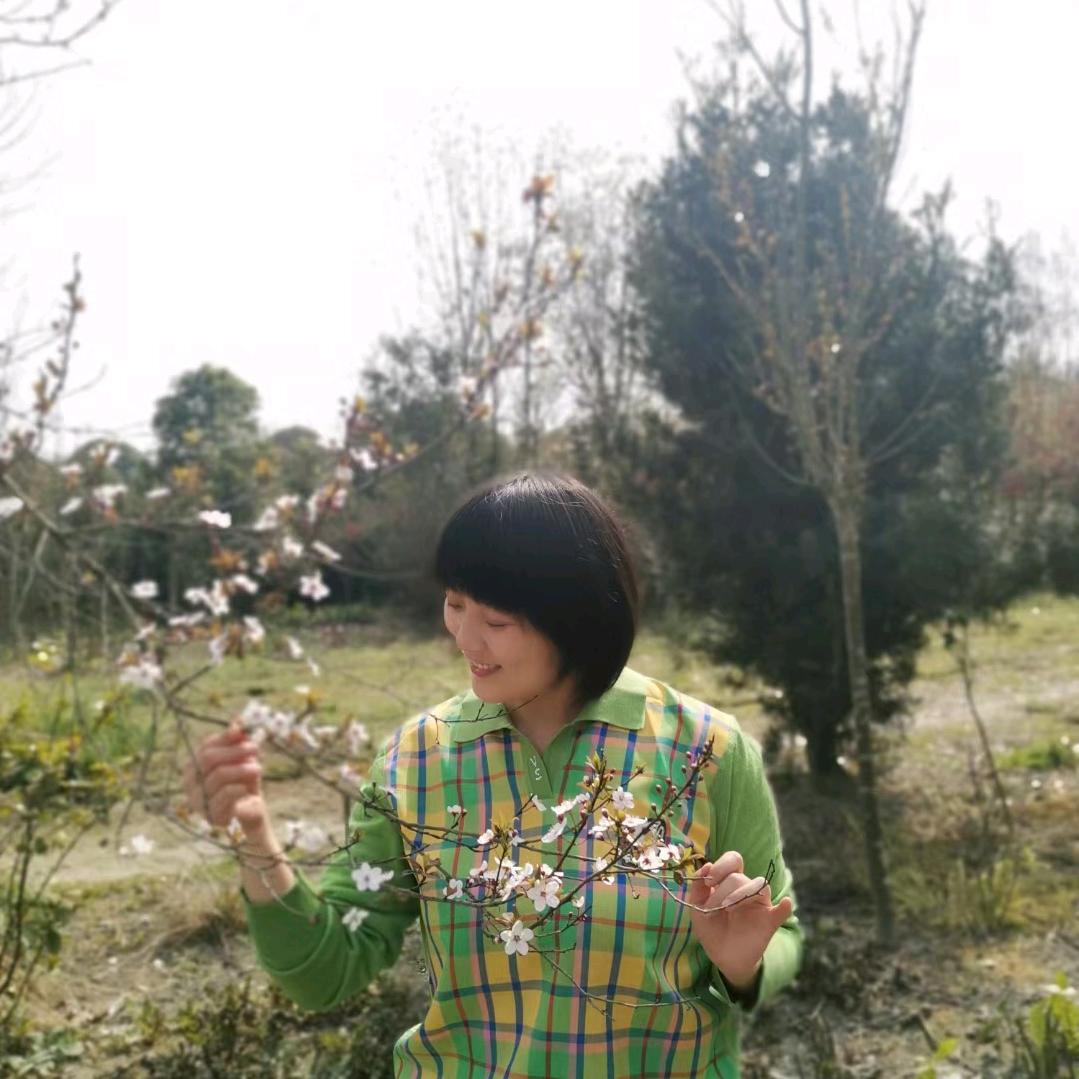 莲花静静开