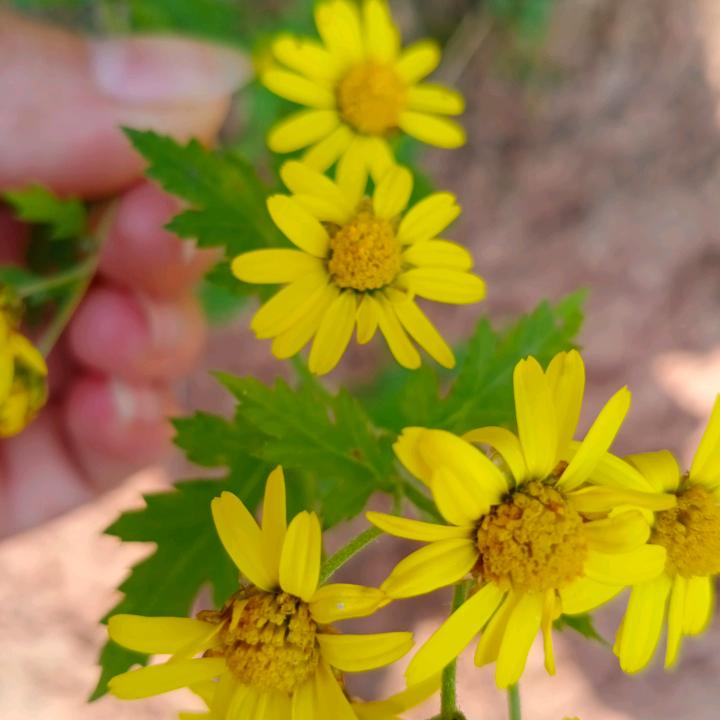 遗失的美好！小余