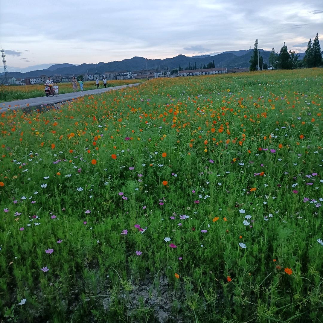 《舒》无缘无份