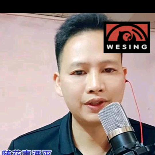 小蜜蜂《冯少华》