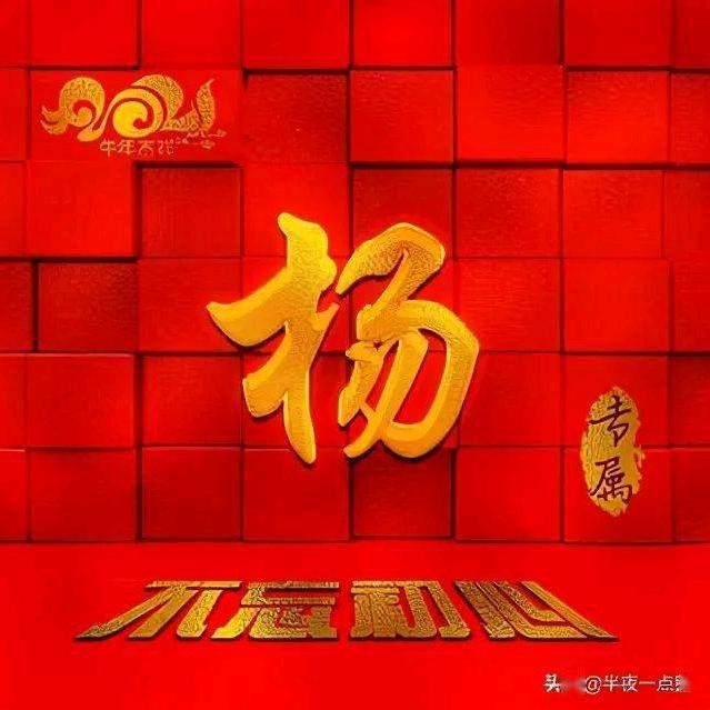 纸箱机械杨姐
