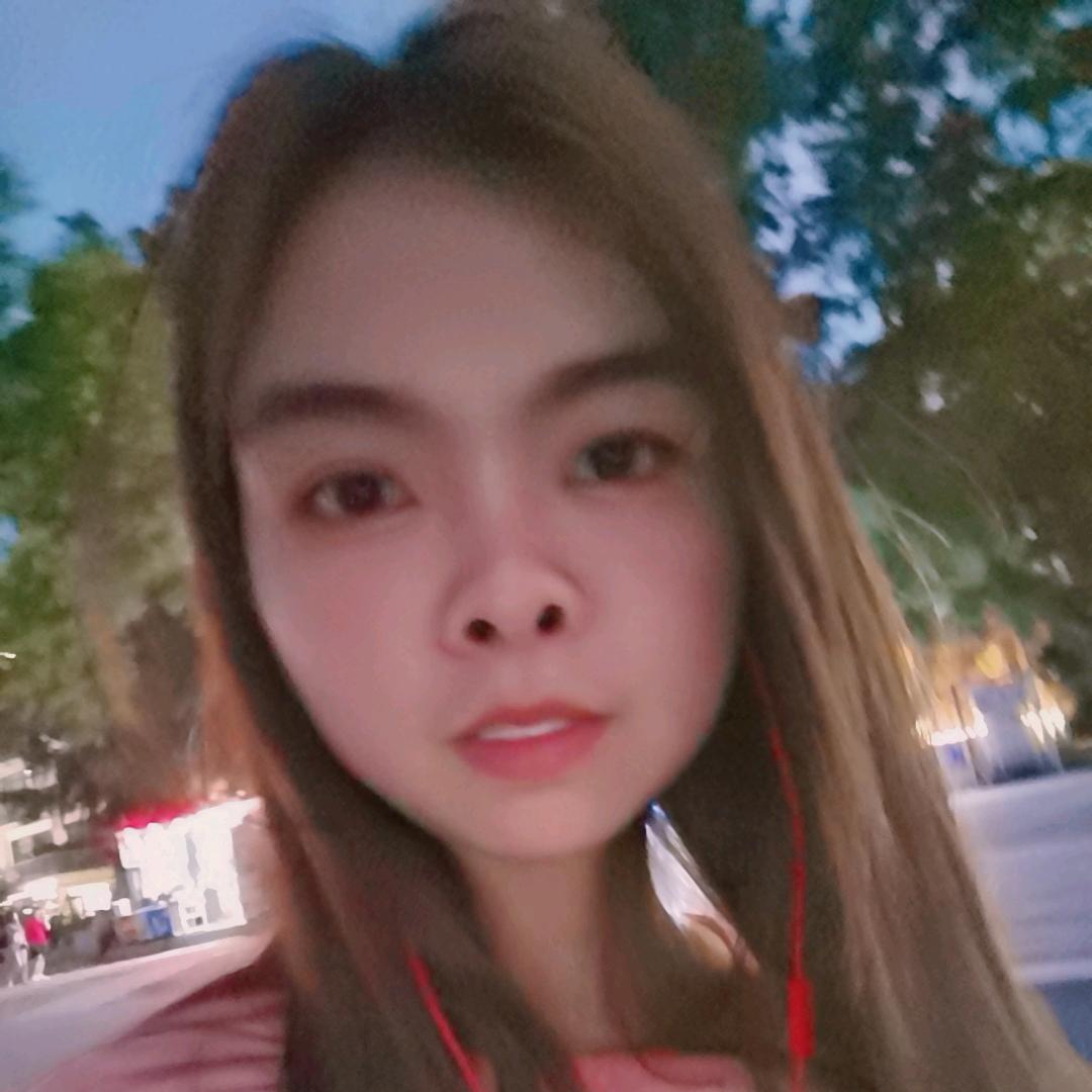 一只琴