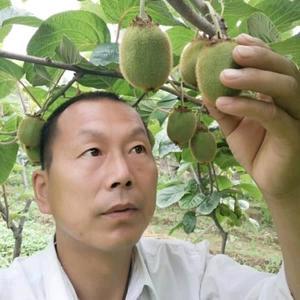 🥝三农张建文