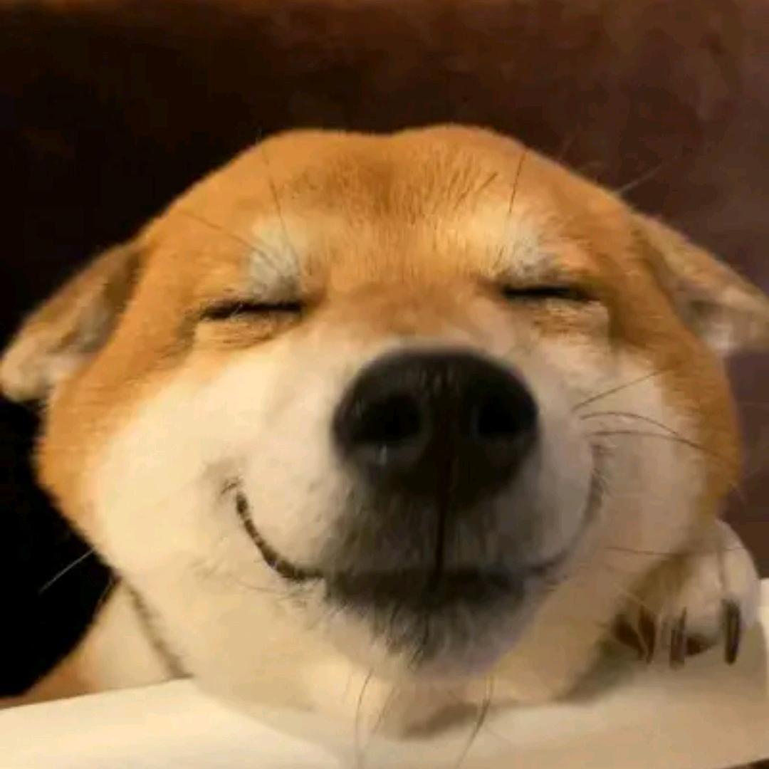 Potter头像