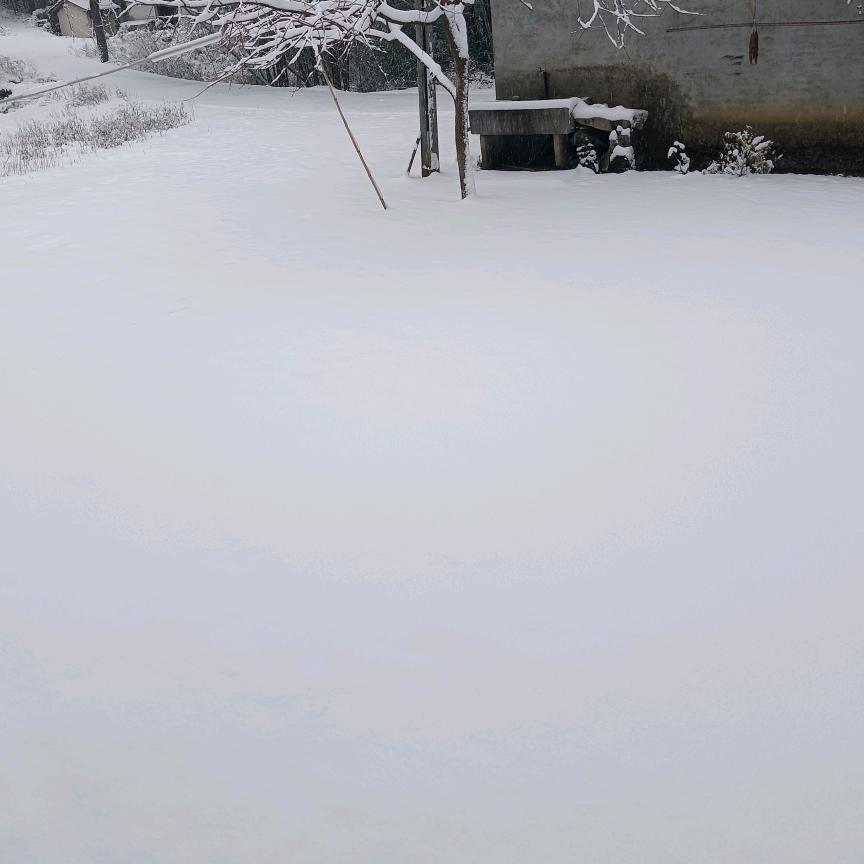 z泉泉