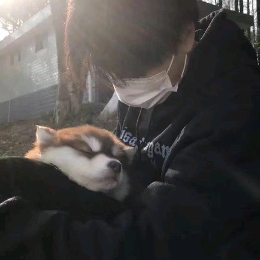 波形线（恩师  今天你快lo了吗）