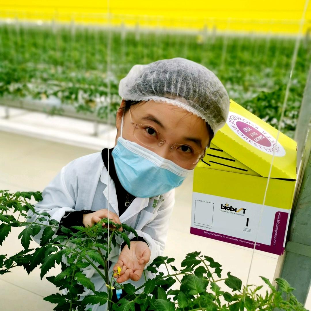 熊蜂团长阿丽塔｜授粉增产好帮手