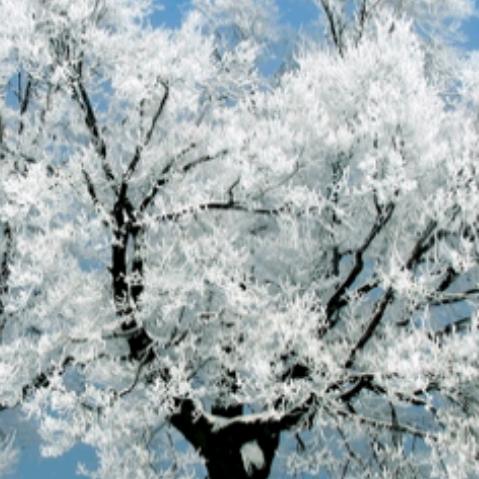 出租大中小挖掘机