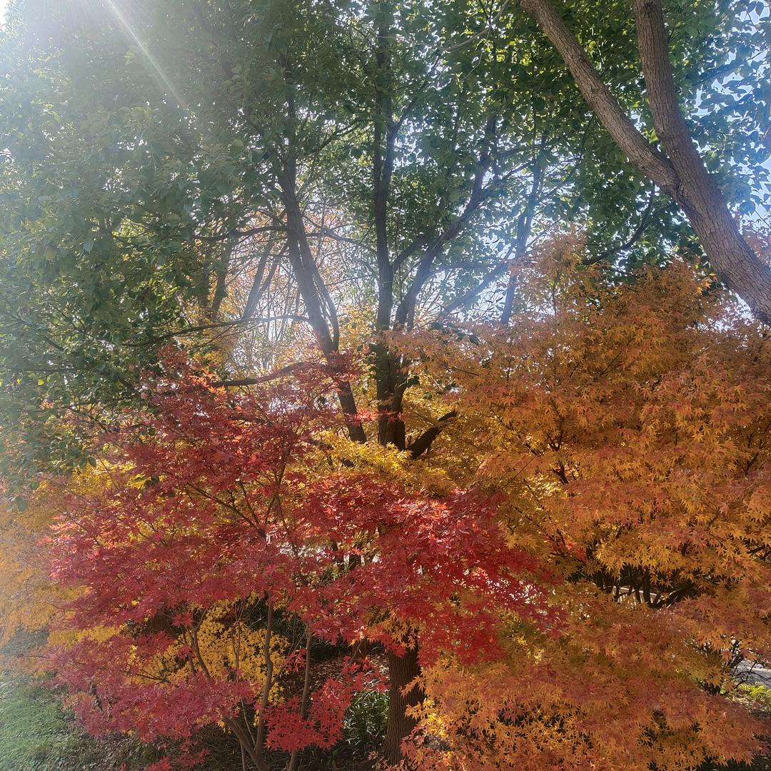 杰
