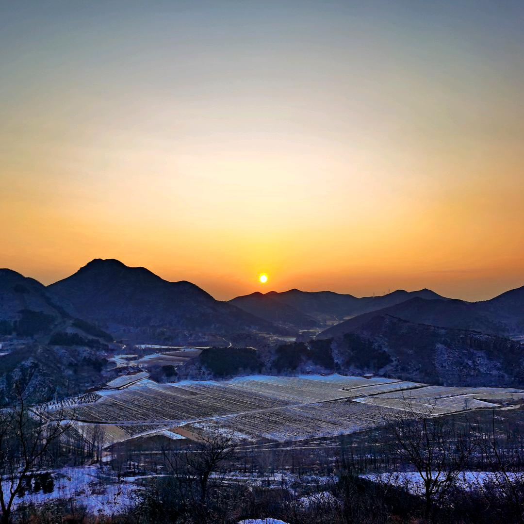 杰西舅舅（好物在橱窗）